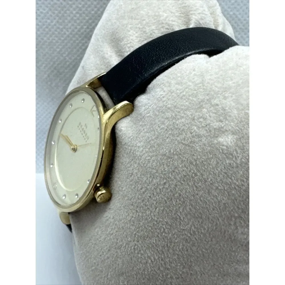 Skagen SKW2266 Women Black Leather Analog Dial Quartz Genuine Wrist Watch JNA961